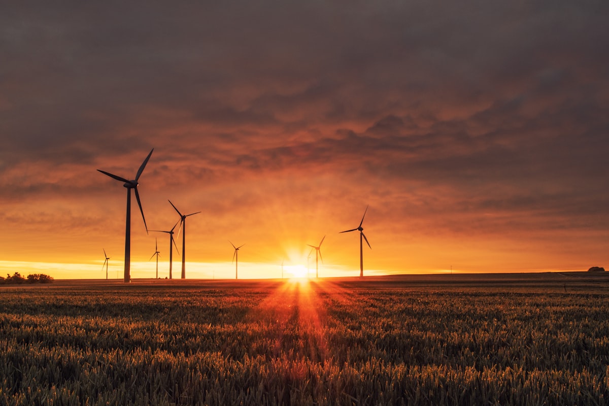 Wind turbines in a green field representing renewable energy and carbon credit generation